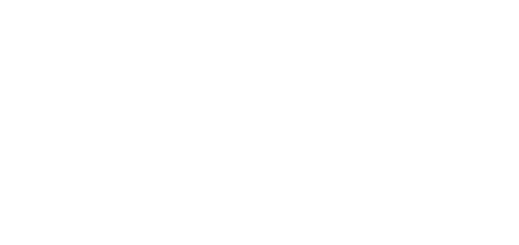 LP Solutions MX Loader